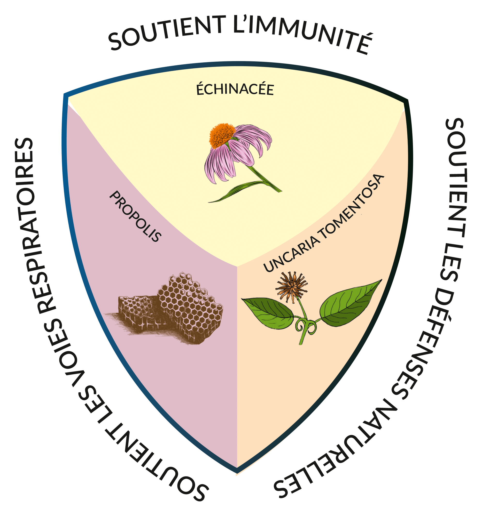 IMMUTIONE soutient votre immunité antiseptique antiviral rhume grippe